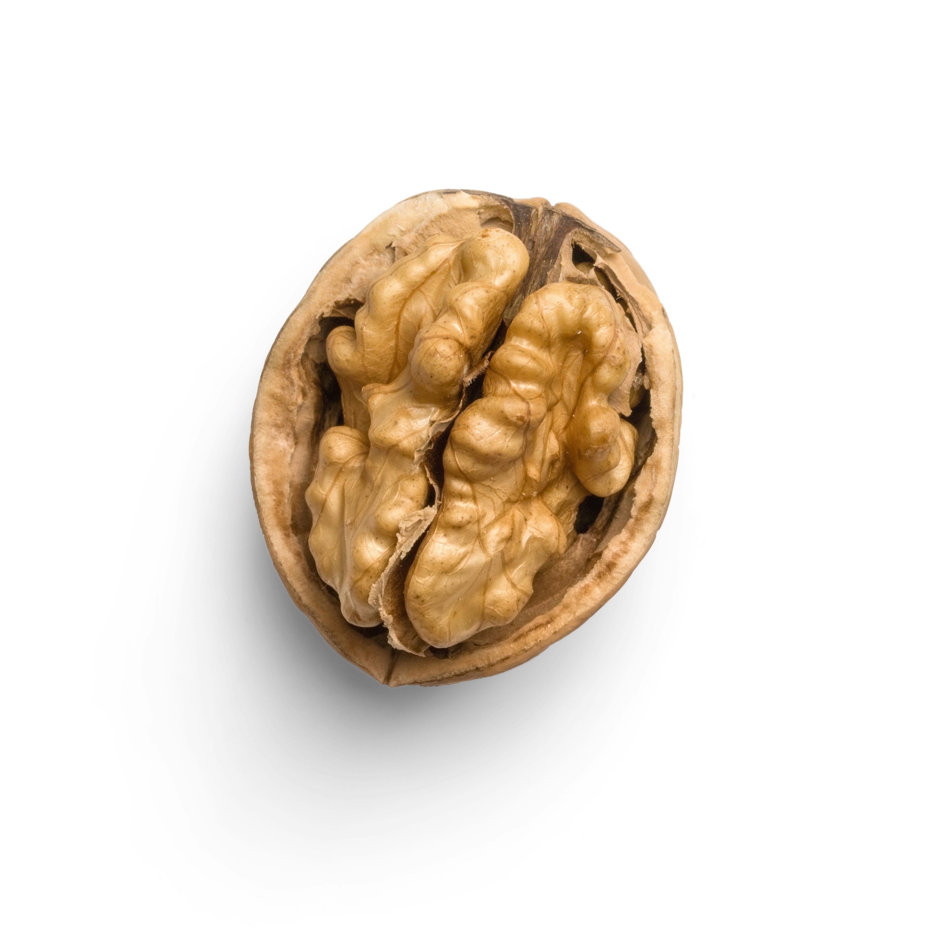 WALLNUT